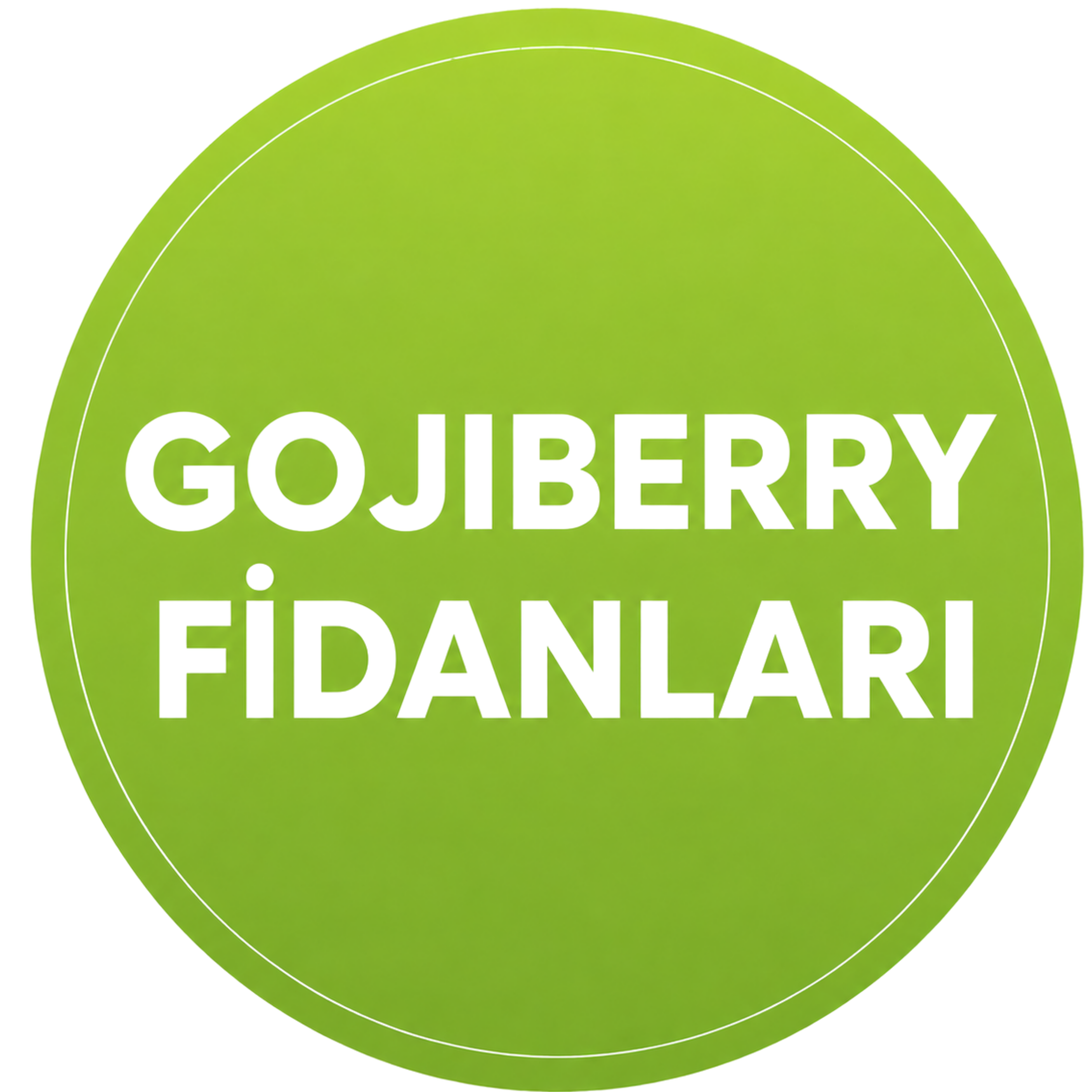 Gojiberry Fidanlar
