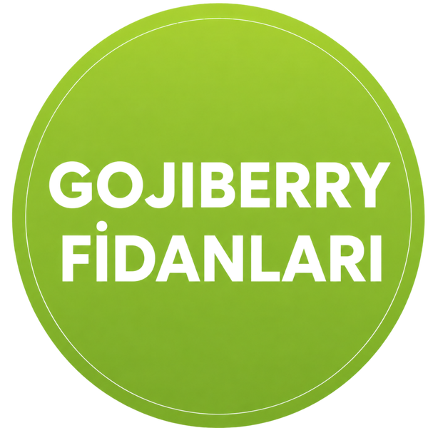 Gojiberry Fidanlar