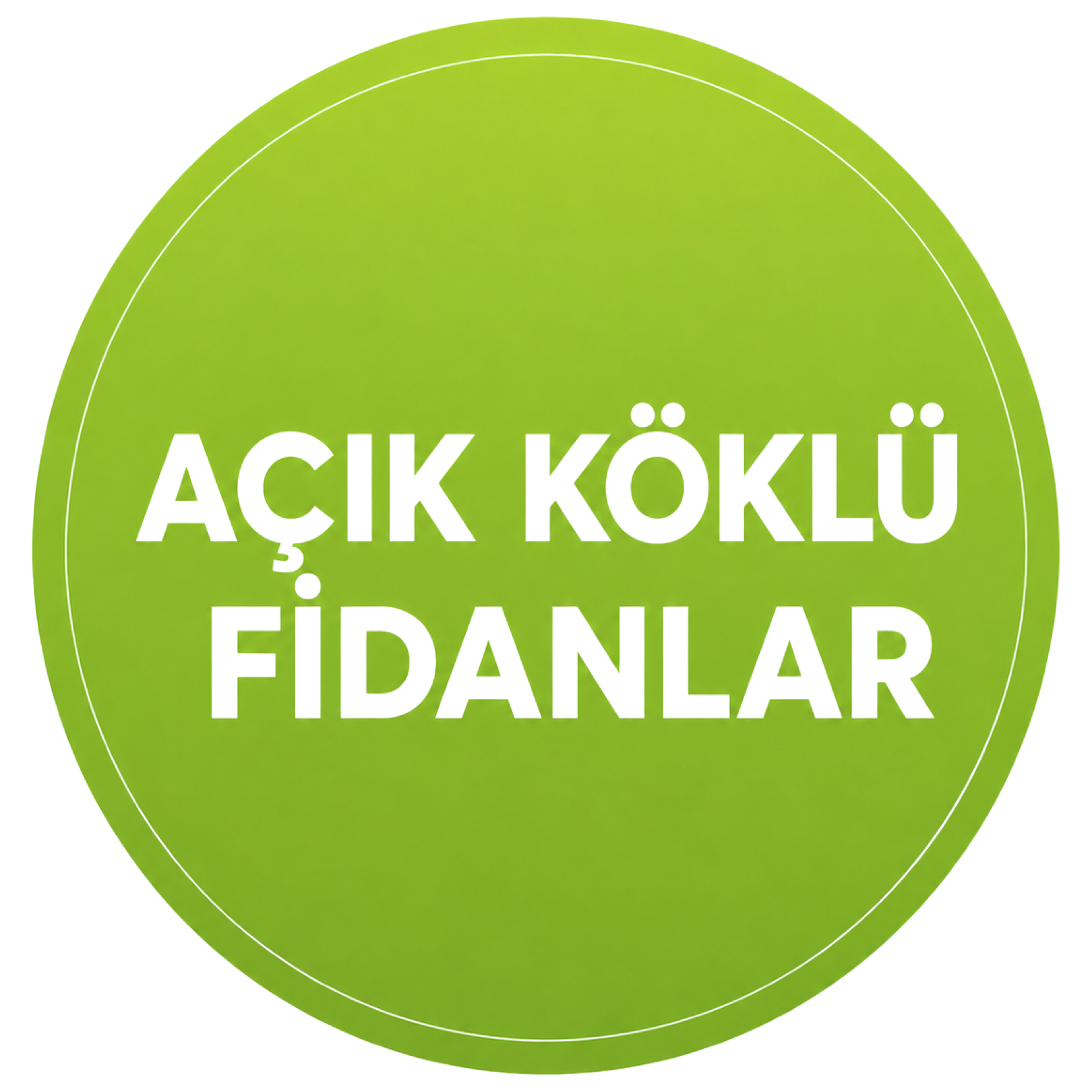 AÇIK KÖKLÜ FİDANLAR