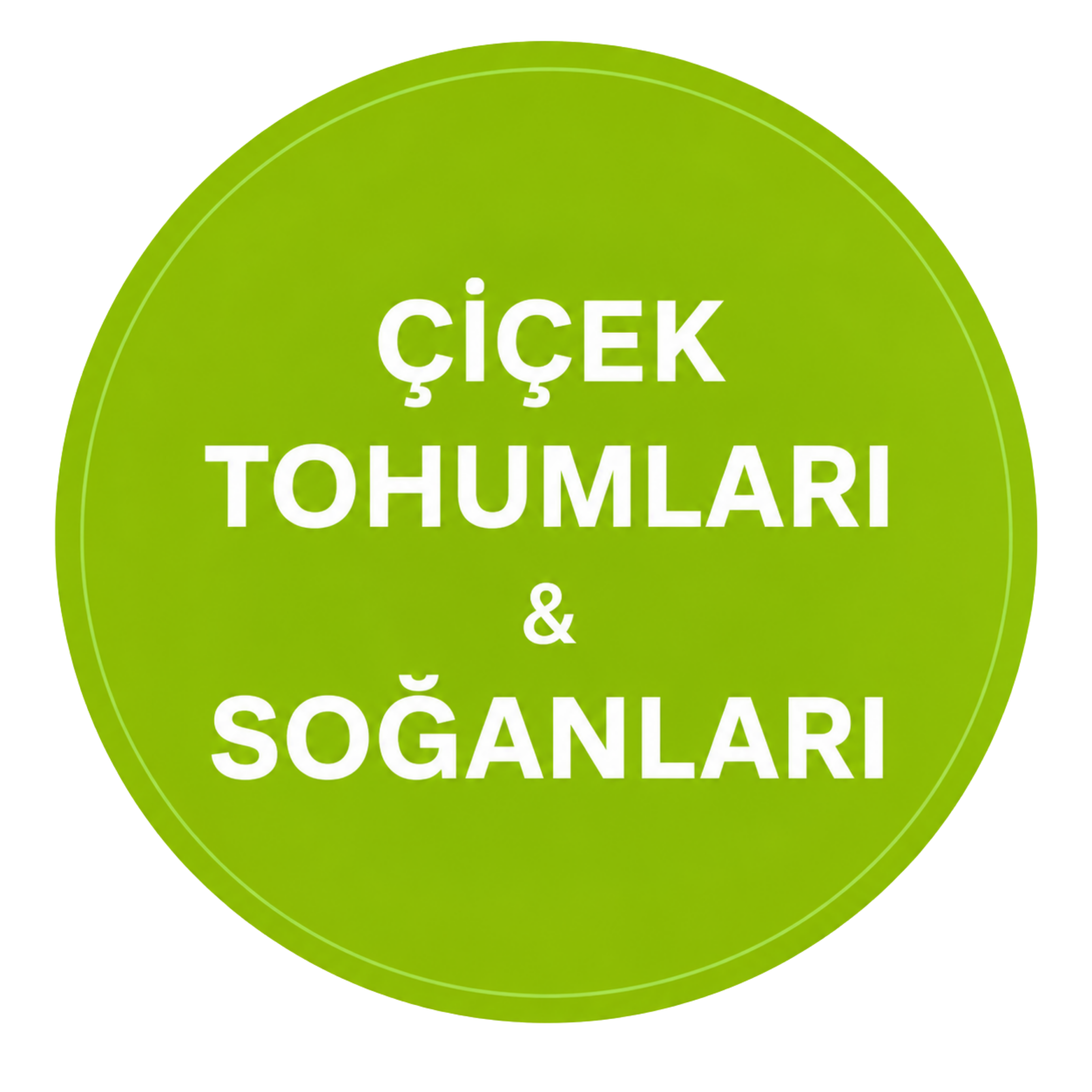 Çiçek Tohumları & Soğanları