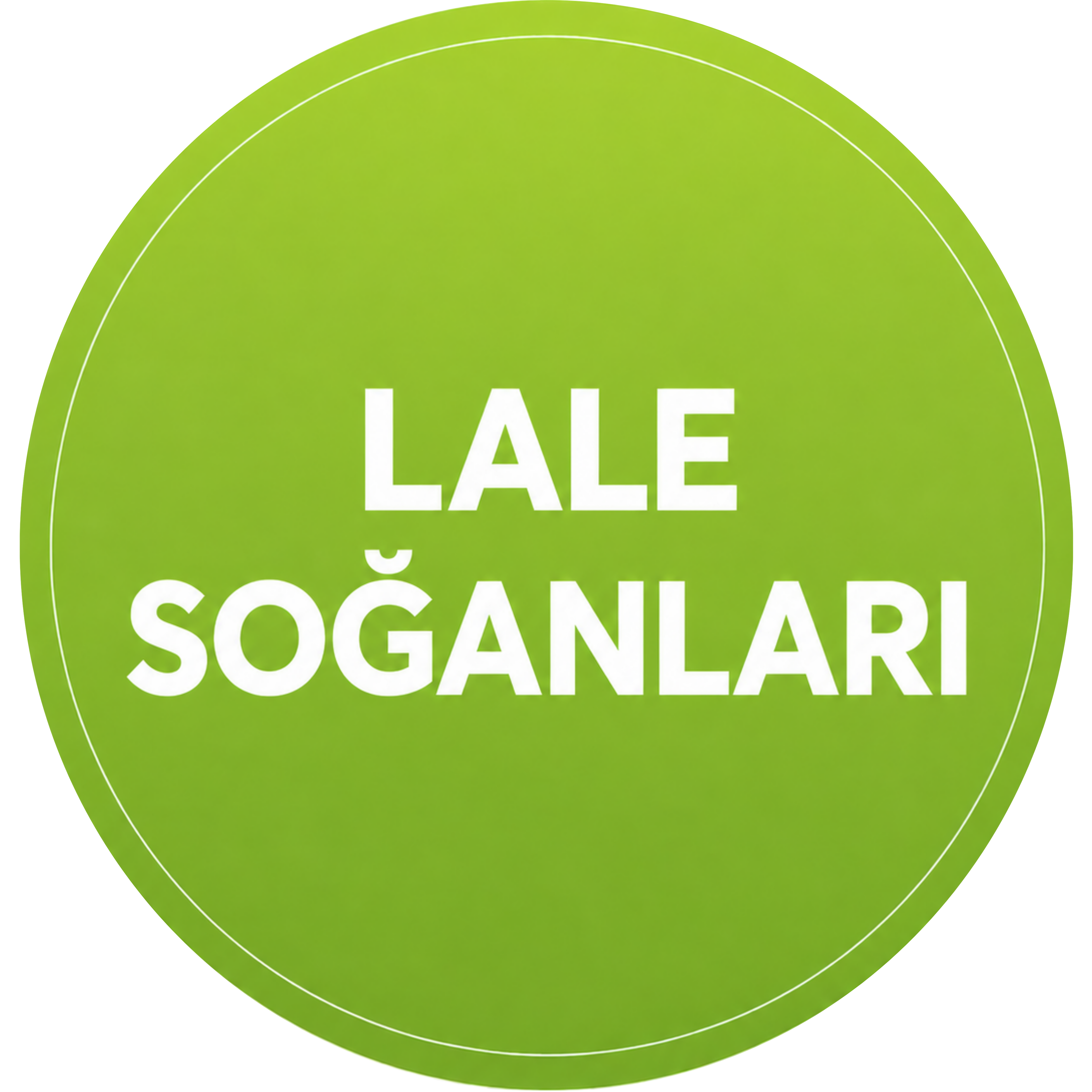 Lale Soğanları