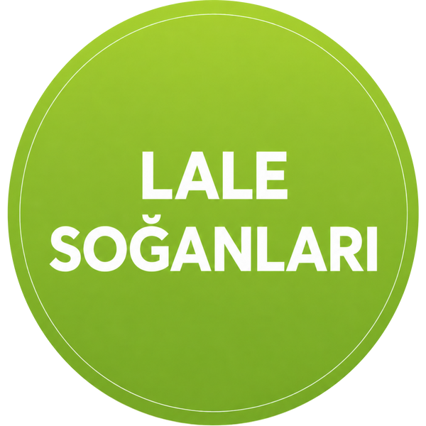 Lale Soğanları