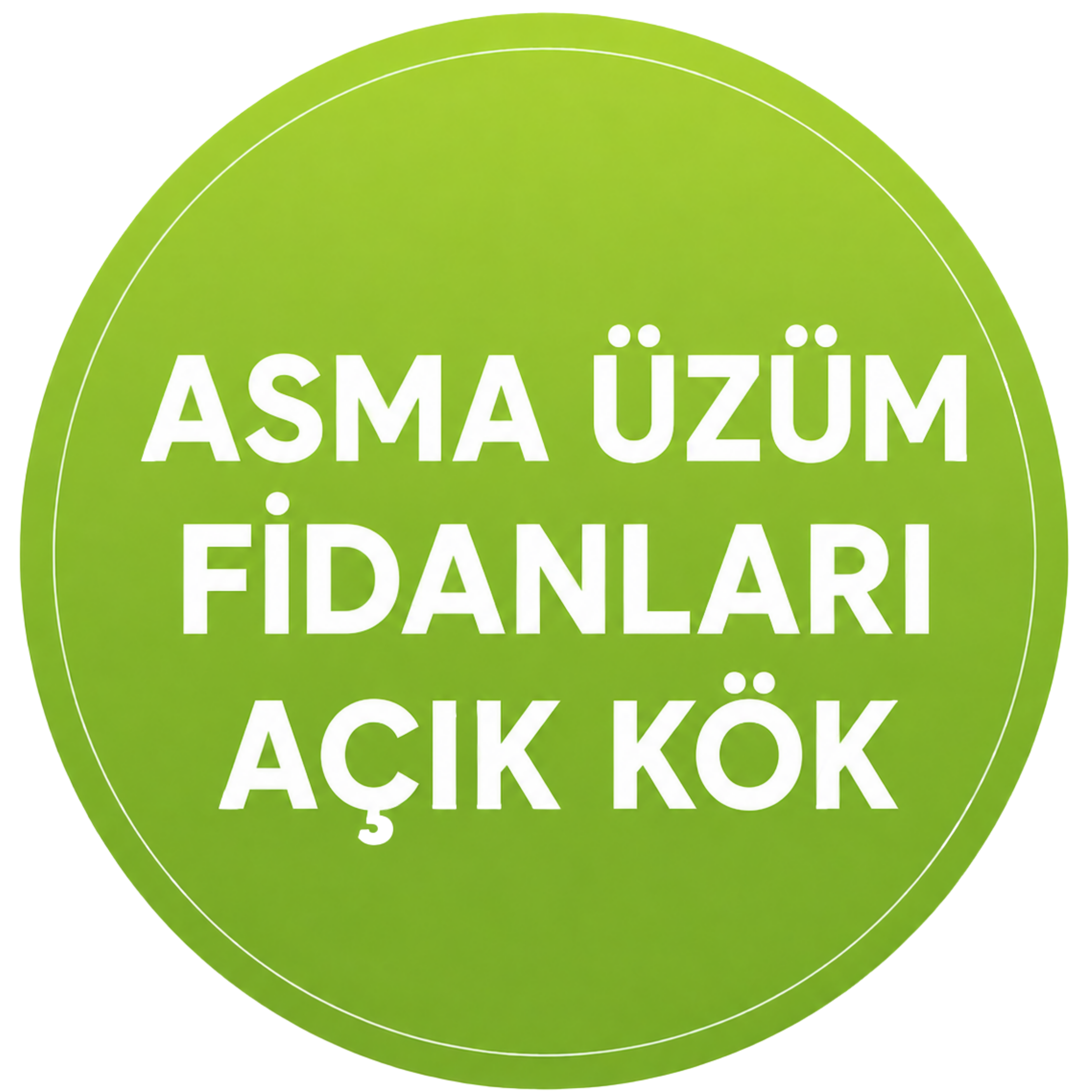 Asma Üzüm Fidanları Açık Kök