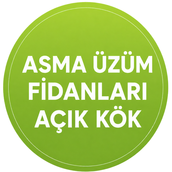 Asma Üzüm Fidanları Açık Kök