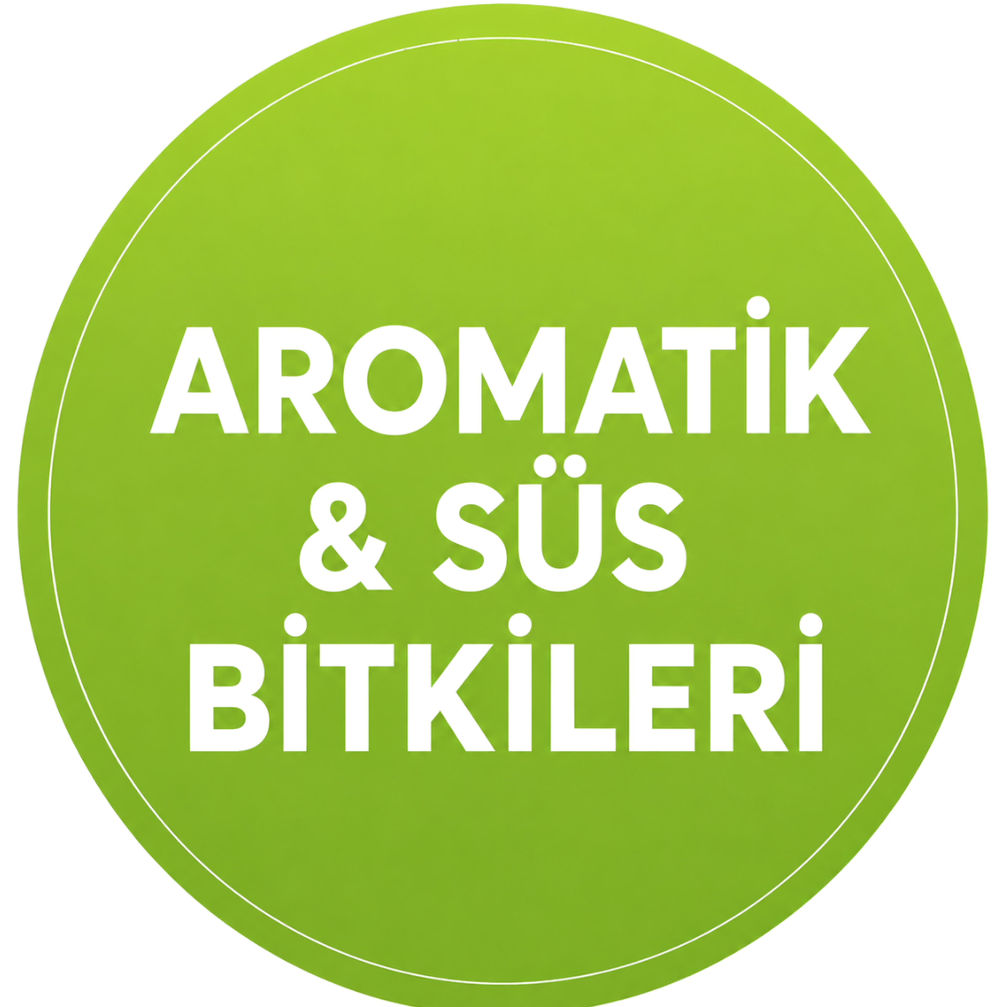Aromatik & Süs Bitkileri
