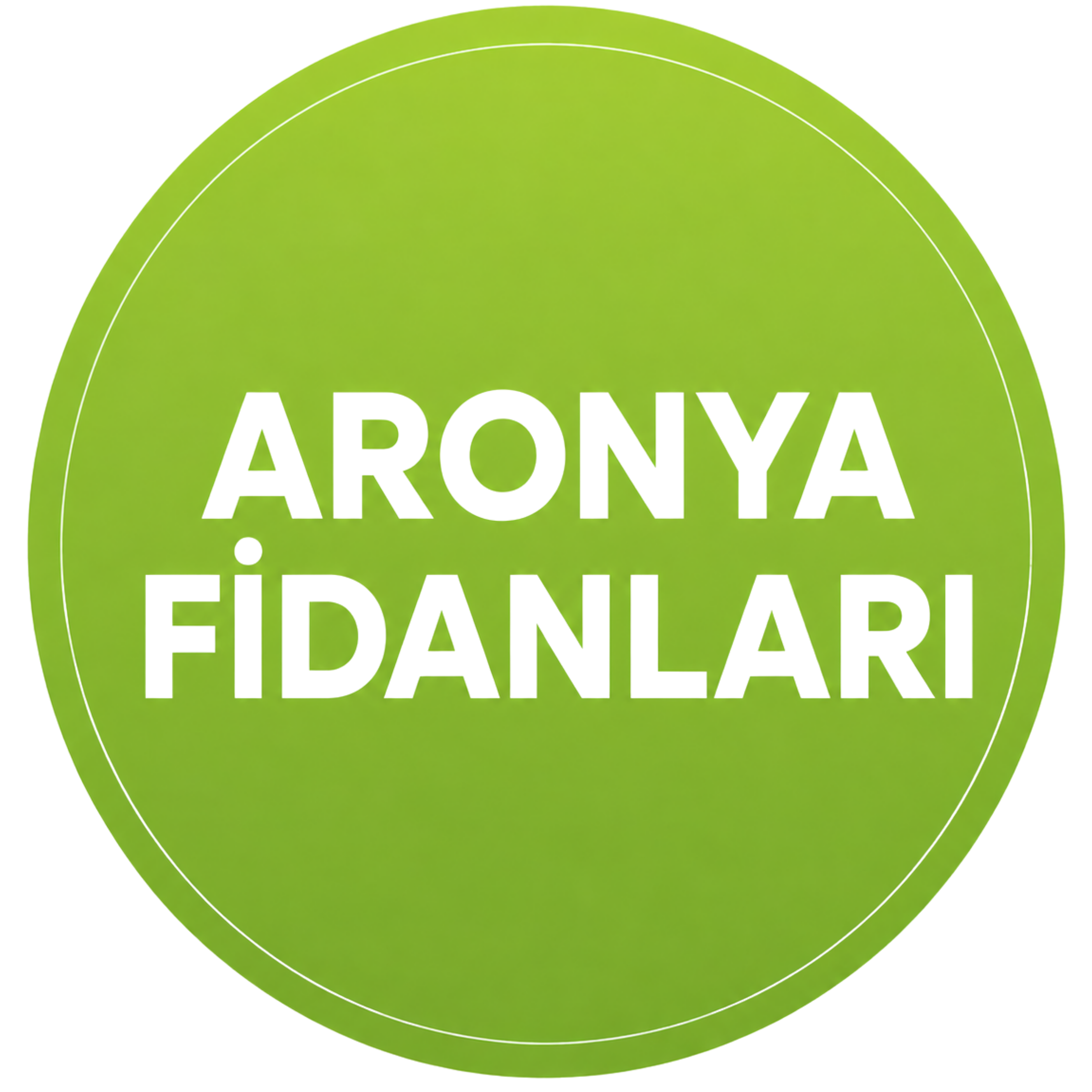 Aronya Fidanları