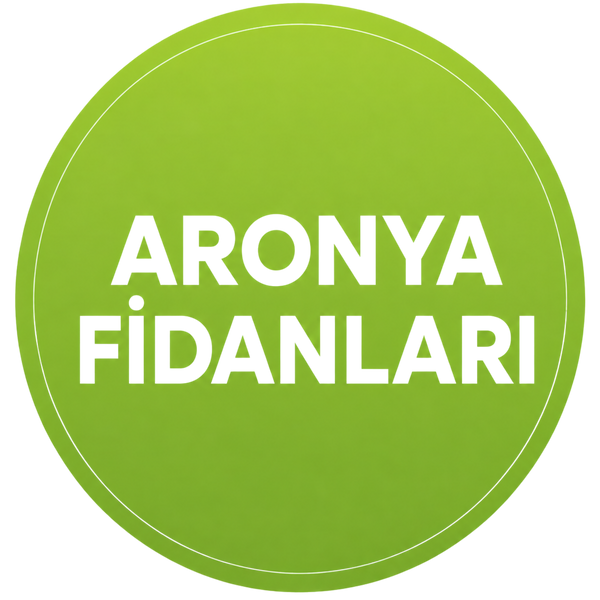 Aronya Fidanları