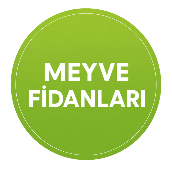 Meyve Fidanları