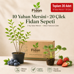 30'lu Çilek & Yaban Mersini Keyif Sepeti