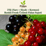 Yeni Başlayanlar İçin — Başlangıç Sepeti 2
