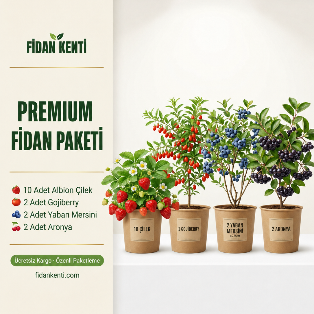 Premium Fidan Paketi