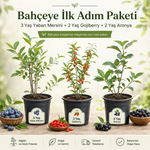 Yeni Başlayanlar İçin — Başlangıç Sepeti 1