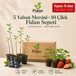 15'Li Çilek & Yaban Mersini Keyif Sepeti