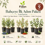 Orta Seviye — Başlangıç Sepeti 1